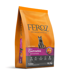 GATO-CASTRADOS-SITE